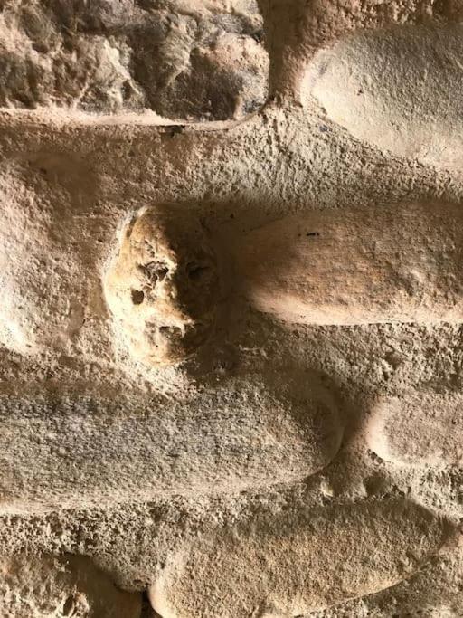 투레 Casa De Piedra.The Stone House 빌라 외부 사진